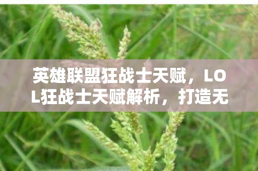 英雄联盟狂战士天赋，LOL狂战士天赋解析，打造无敌战士的秘诀