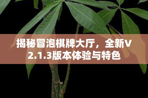 揭秘冒泡棋牌大厅，全新V2.1.3版本体验与特色