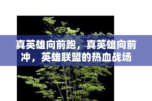 真英雄向前跑,真英雄向前冲,英雄联盟的热血战场 真英雄向前跑,真英雄向前冲,英雄联盟的热血战场