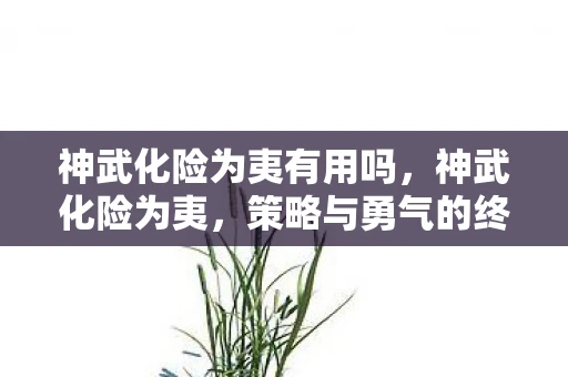 神武化险为夷有用吗，神武化险为夷，策略与勇气的终极考验