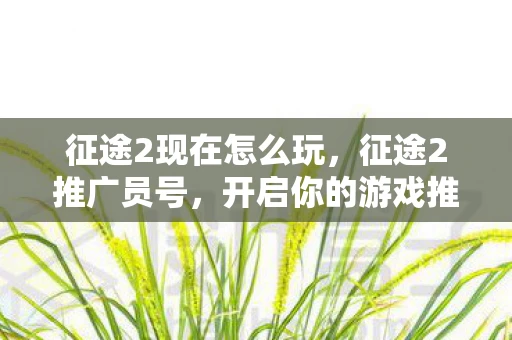 征途2现在怎么玩，征途2推广员号，开启你的游戏推广之旅