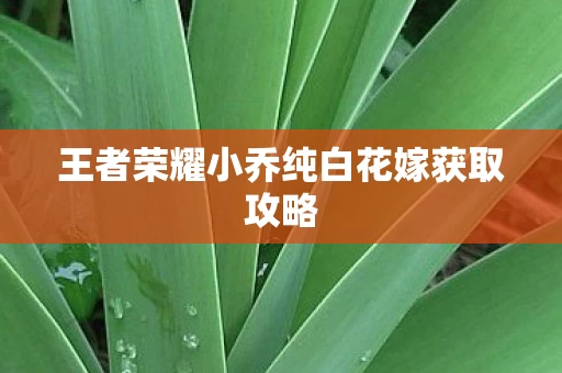 王者荣耀小乔纯白花嫁获取攻略图片