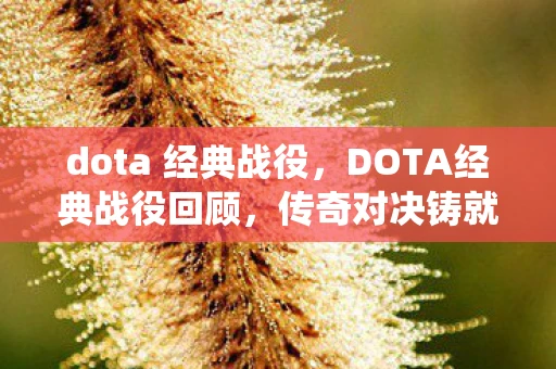 dota 经典战役，DOTA经典战役回顾，传奇对决铸就游戏史诗