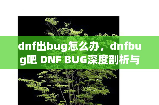 dnf出bug怎么办，dnfbug吧 DNF BUG深度剖析与玩家应对策略