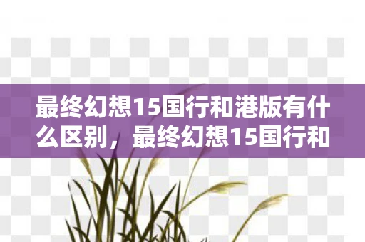 最终幻想15国行和港版有什么区别，最终幻想15国行和港版区别，深度解析两款版本的不同之处