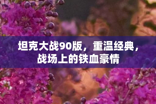 战场上的铁血豪情图片