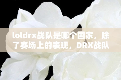 loldrx战队是哪个国家，除了赛场上的表现，DRX战队还注重与其他领域的合作和推广。他们与多家知名品牌合作，推出了联名产品和活动，吸引了众多粉丝的关注和参与。同时，DRX战队还积极参与公益事业和社会活动，为社会做出了积极贡献