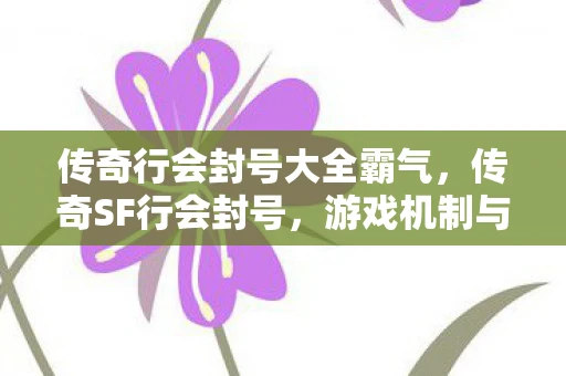 传奇行会封号大全霸气，传奇SF行会封号，游戏机制与玩家行为分析