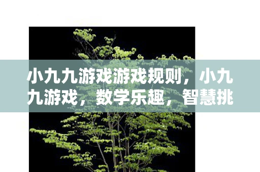小九九游戏游戏规则，小九九游戏，数学乐趣，智慧挑战