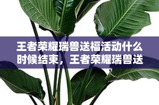 王者荣耀瑞兽送福活动什么时候结束，王者荣耀瑞兽送红包活动全面解析，如何高效匹配红包奖励？