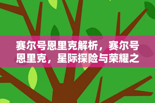 赛尔号恩里克解析，赛尔号恩里克，星际探险与荣耀之战