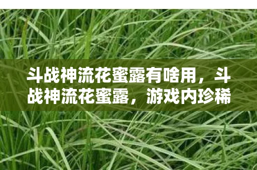 斗战神流花蜜露有啥用，斗战神流花蜜露，游戏内珍稀道具悉数登场