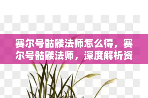赛尔号骷髅法师怎么得，赛尔号骷髅法师，深度解析资料与攻略