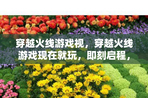 穿越火线游戏视，穿越火线游戏现在就玩，即刻启程，燃爆枪战激情！