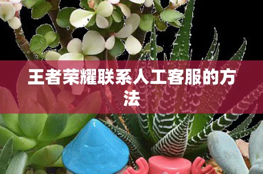 王者荣耀联系人工客服的方法图片