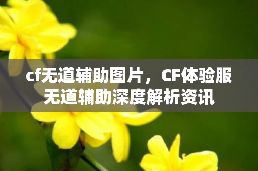 cf无道辅助图片，CF体验服无道辅助深度解析资讯