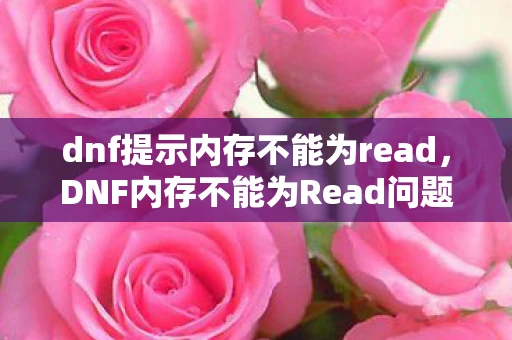 dnf提示内存不能为read，DNF内存不能为Read问题解析