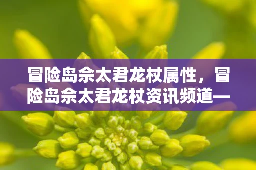 冒险岛佘太君龙杖属性，冒险岛佘太君龙杖资讯频道—深入解析全新冒险