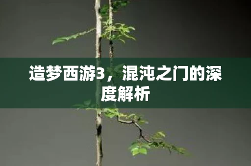 混沌之门的深度解析图片