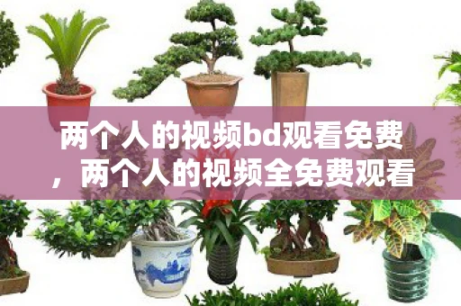 两个人的视频bd观看免费，两个人的视频全免费观看，探索在线娱乐新领域