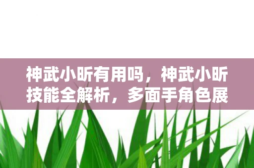 神武小昕有用吗，神武小昕技能全解析，多面手角色展现强大战斗力！
