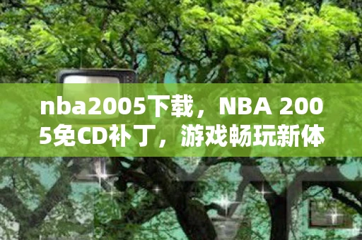 nba2005下载，NBA 2005免CD补丁，游戏畅玩新体验