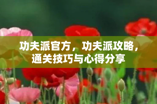 功夫派官方，功夫派攻略，通关技巧与心得分享