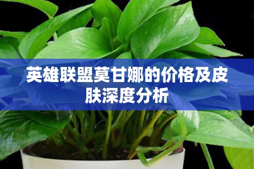 英雄联盟莫甘娜的价格及皮肤深度分析图片
