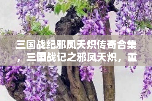 三国战纪邪凤天炽传奇合集，三国战记之邪凤天炽，重燃战火，邪凤舞动三国风云