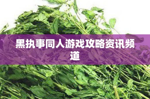 黑执事同人游戏攻略资讯频道图片