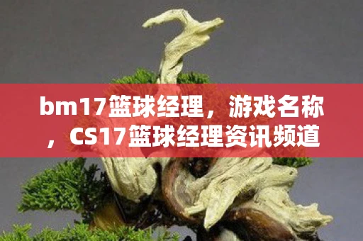 bm17篮球经理，游戏名称，CS17篮球经理资讯频道