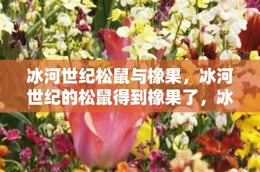 冰河世纪松鼠与橡果，冰河世纪的松鼠得到橡果了，冰河松鼠的橡果大冒险