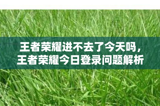 王者荣耀进不去了今天吗，王者荣耀今日登录问题解析，为什么进不去游戏？