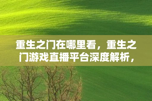 重生之门在哪里看，重生之门游戏直播平台深度解析，探寻最佳观看体验的平台选择