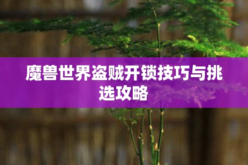 魔兽世界盗贼开锁技巧与挑选攻略图片