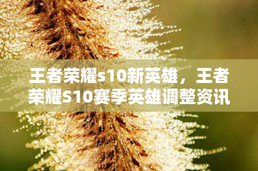 王者荣耀s10新英雄，王者荣耀S10赛季英雄调整资讯频道—深度解析最新动态与英雄平衡调整