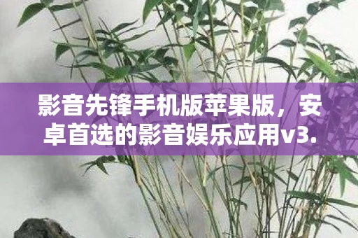 安卓首选的影音娱乐应用v3图片