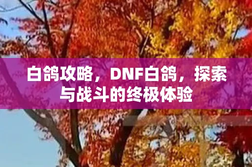 白鸽攻略,DNF白鸽,探索与战斗的终极体验 白鸽攻略,DNF白鸽,探索与战斗的终极体验