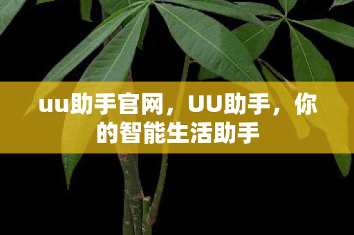 uu助手官网,UU助手,你的智能生活助手 uu助手官网,UU助手,你的智能生活助手