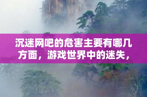 沉迷网吧的危害主要有哪几方面,游戏世界中的迷失,网吧吃住与沉迷游戏 沉迷网吧的危害主要有哪几方面,游戏世界中的迷失,网吧吃住与沉迷游戏