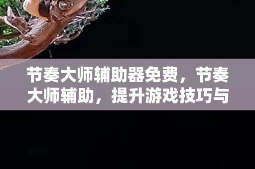 节奏大师辅助器免费,节奏大师辅助,提升游戏技巧与体验 节奏大师辅助器免费,节奏大师辅助,提升游戏技巧与体验