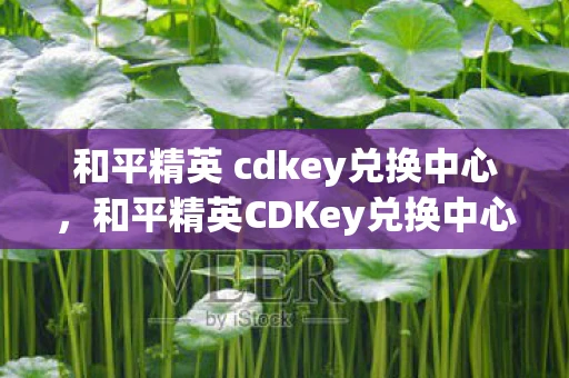 和平精英 cdkey兑换中心，和平精英CDKey兑换中心，玩家的福音与福利的源泉