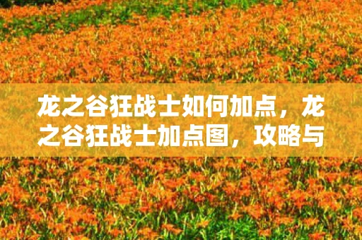 龙之谷狂战士如何加点，龙之谷狂战士加点图，攻略与技巧详解