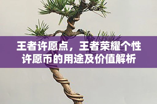 王者许愿点，王者荣耀个性许愿币的用途及价值解析