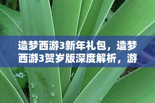 造梦西游3新年礼包,造梦西游3贺岁版深度解析,游戏特色与玩法探讨 造梦西游3新年礼包,造梦西游3贺岁版深度解析,游戏特色与玩法探讨