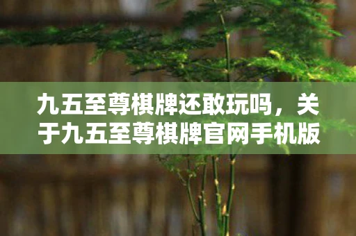 九五至尊棋牌还敢玩吗，关于九五至尊棋牌官网手机版二维码的详细解读与使用指南