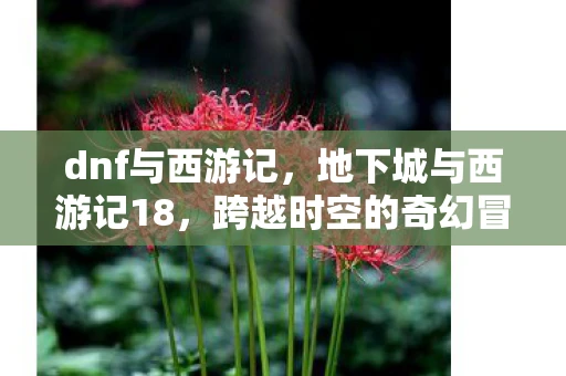 dnf与西游记，地下城与西游记18，跨越时空的奇幻冒险深度解析与体验分享