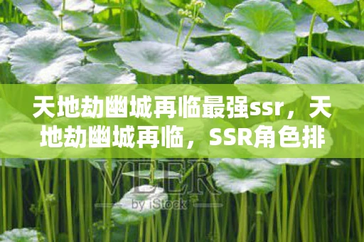 天地劫幽城再临最强ssr,天地劫幽城再临,SSR角色排行—游戏内的强者之争 天地劫幽城再临最强ssr,天地劫幽城再临,SSR角色排行—游戏内的强者之争