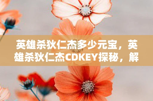 英雄杀狄仁杰多少元宝，英雄杀狄仁杰CDKEY探秘，解锁游戏新境界