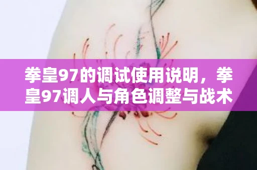 拳皇97的调试使用说明，拳皇97调人与角色调整与战术分析